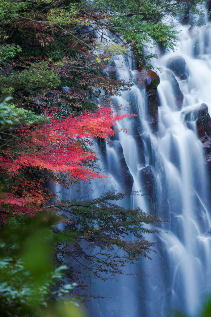 花房の滝