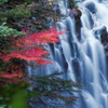 花房の滝