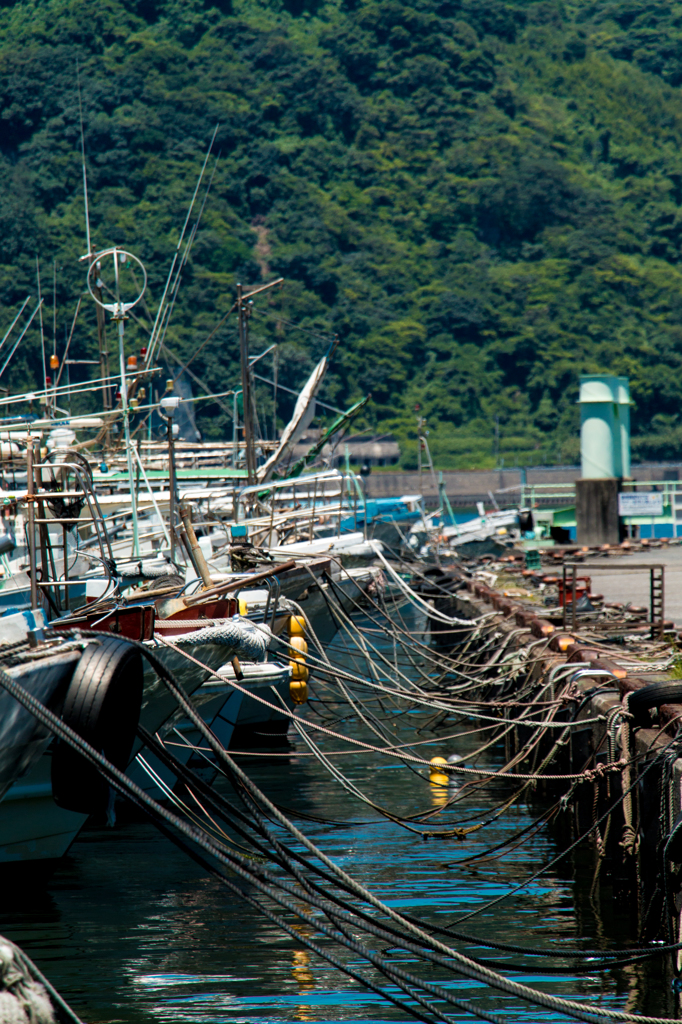 山川港