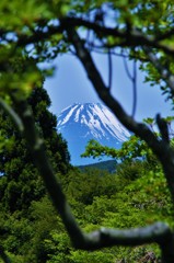 望富士［富士箱根ランド付近］