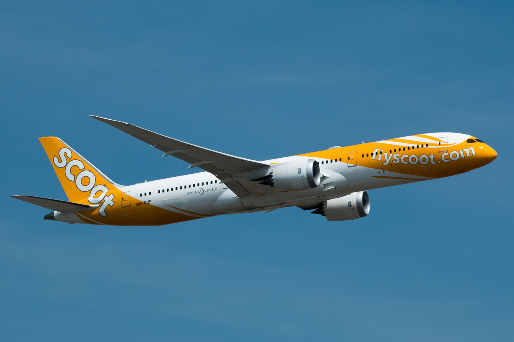 スクート航空　フライト