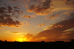 DSC00556