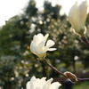 春(^^)v