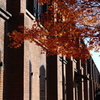 DSC00771
