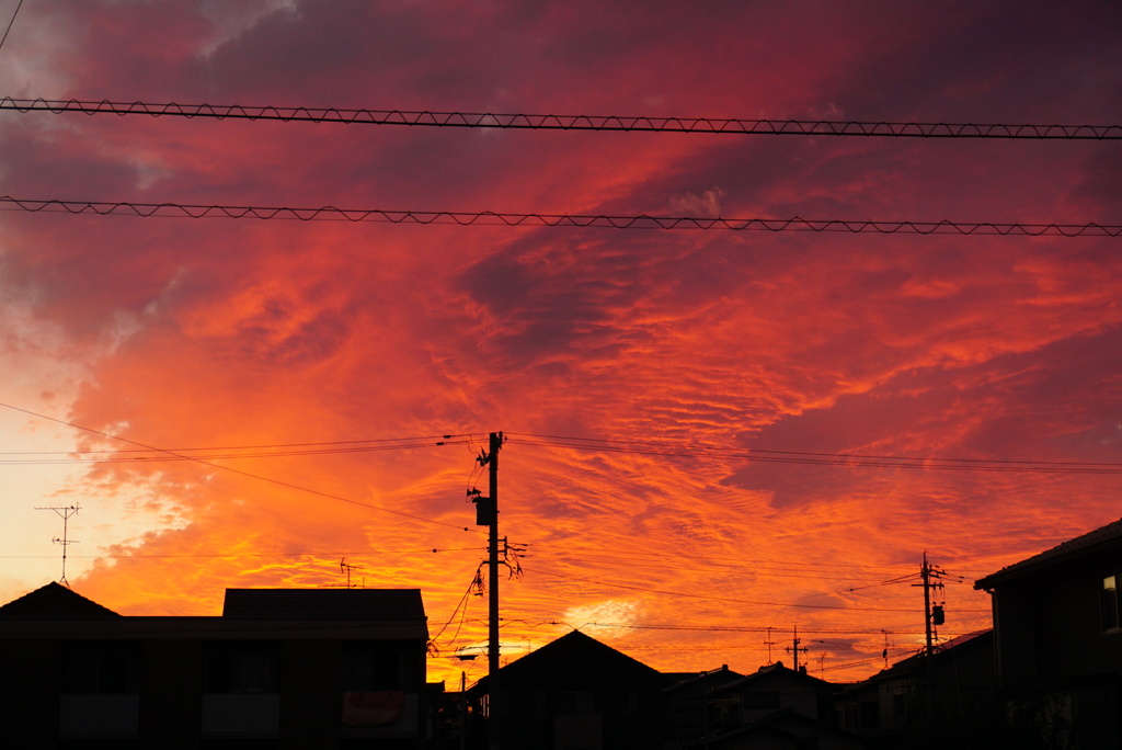 DSC00565
