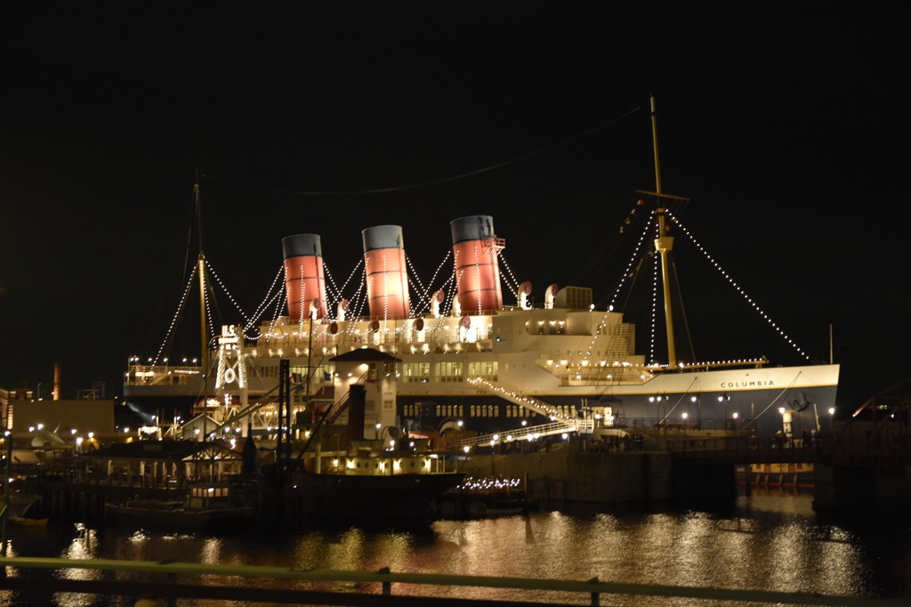 The night view of TDS 8