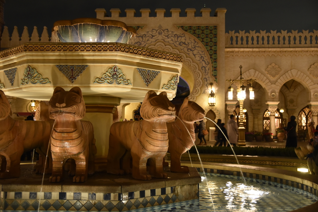 The night view of TDS 5