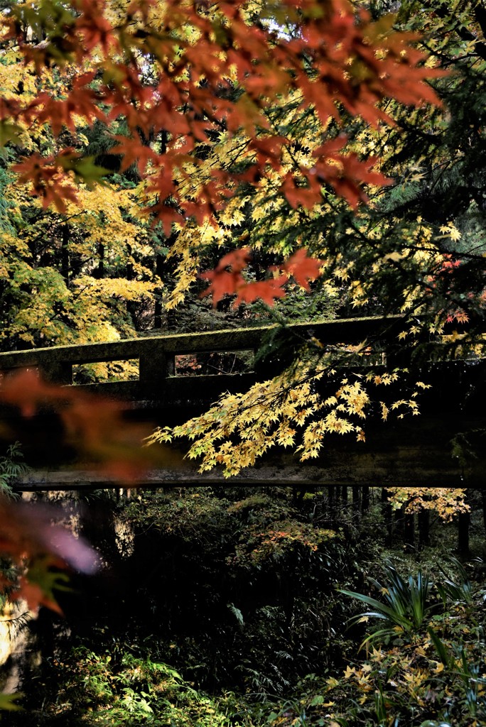 小國神社3