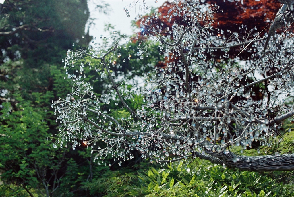 箱根散策