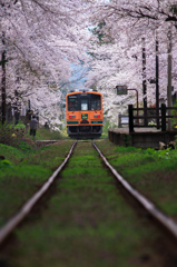 津軽鉄道の春