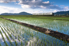 田園