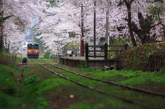 津軽鉄道 芦野公園