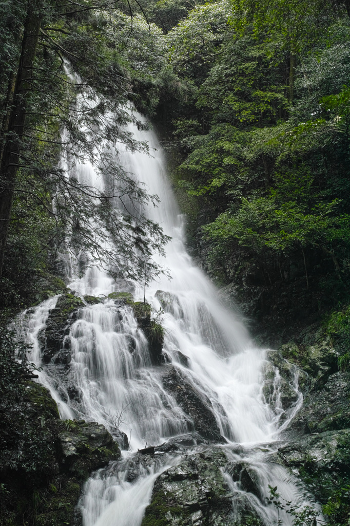 錦鶏の滝