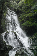 錦鶏の滝