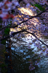 magic hour 2