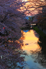 magic hour 1