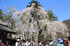 みちのくの小京都