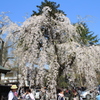 みちのくの小京都