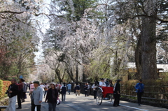 みちのくの小京都