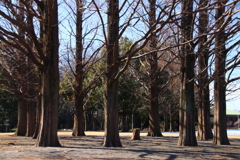 かごめ かごめ