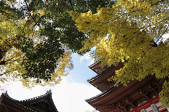 もみじと三重塔