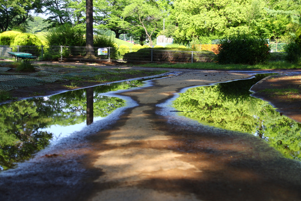 水溜まり