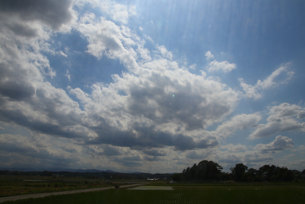 雲