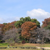 お散歩日和