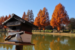 カワセミの巣箱