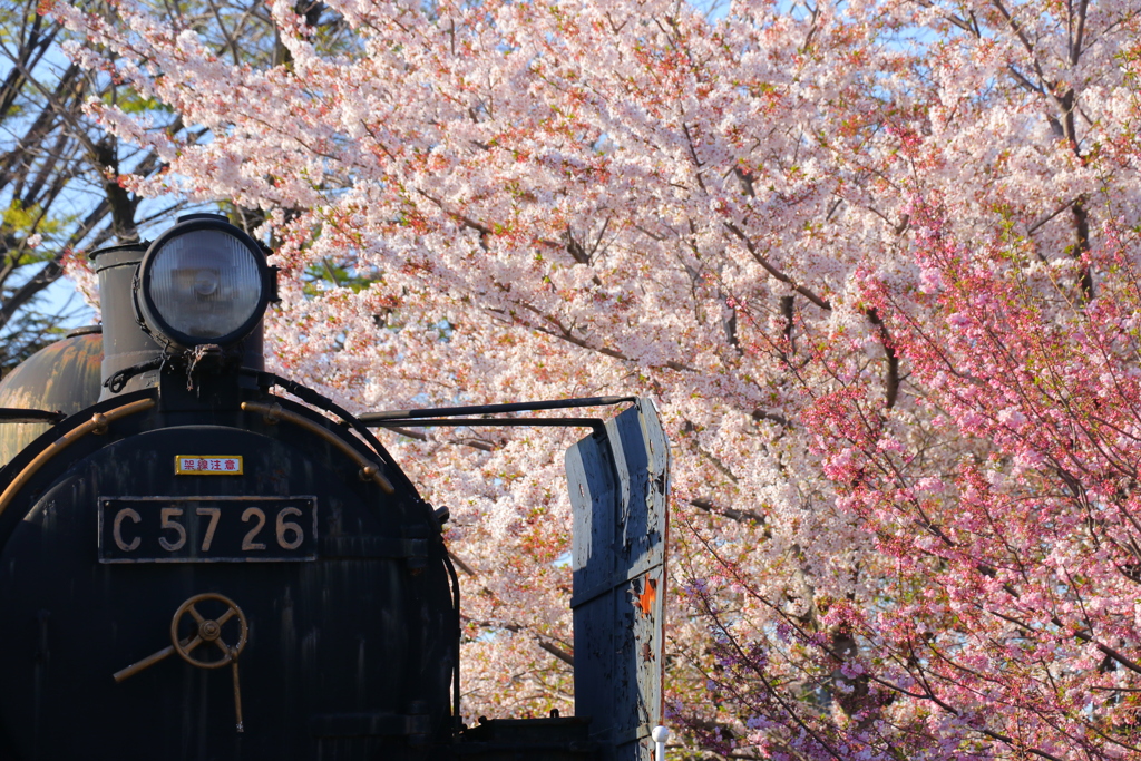 C57 26
