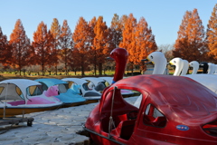 スワンとコアラ