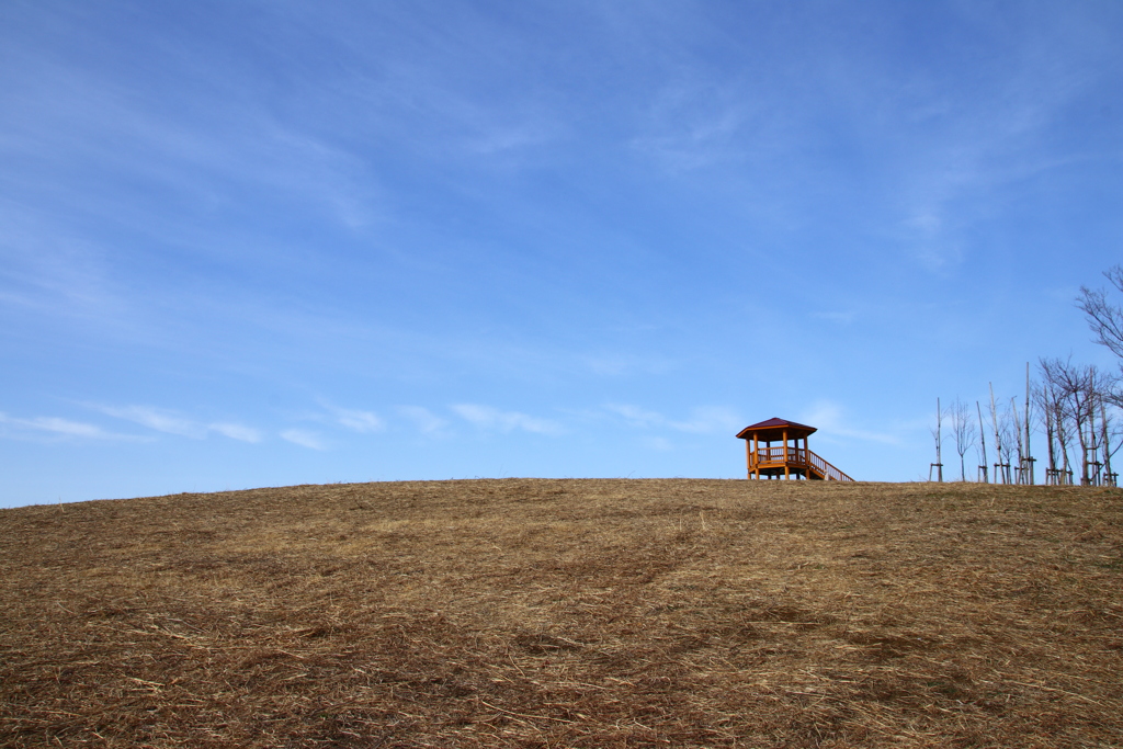 小高い丘の展望デッキ