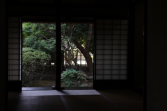 眺める