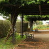 公園のベンチ