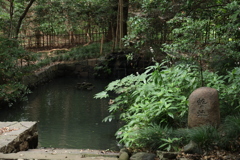 蛇の池
