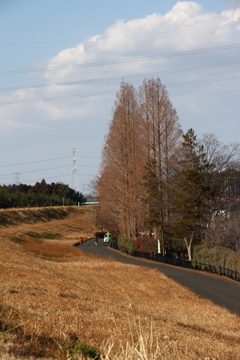 IMG_8113