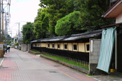 散策