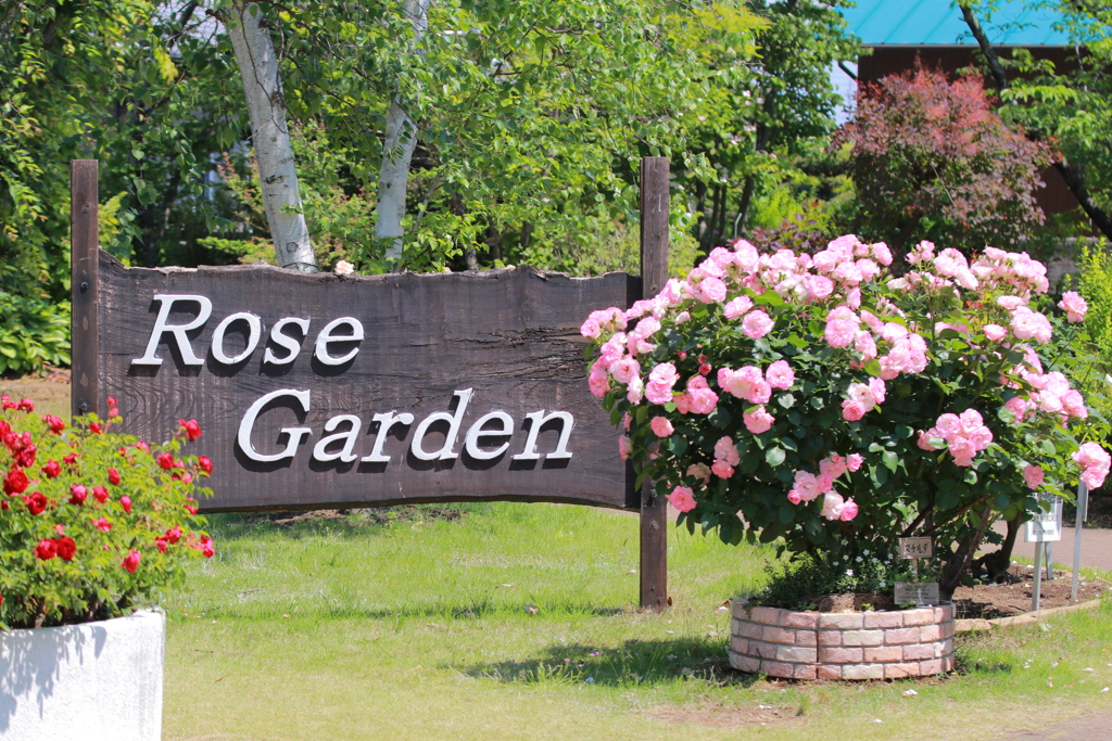 Rose Garden