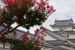 百日紅と城