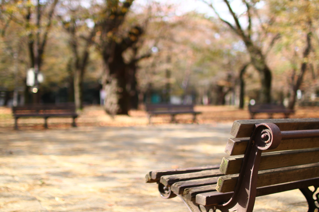 公園のベンチ ７