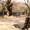 公園のベンチ ７