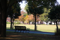 公園のベンチ ５
