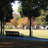 公園のベンチ ５