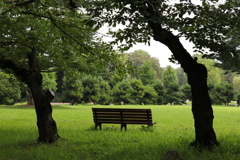 公園のベンチ ２