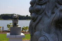 見つめる