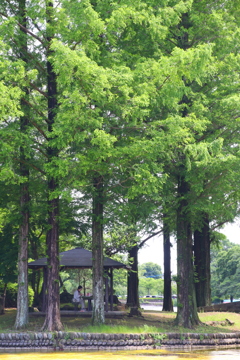 一休み