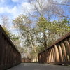 公園の橋