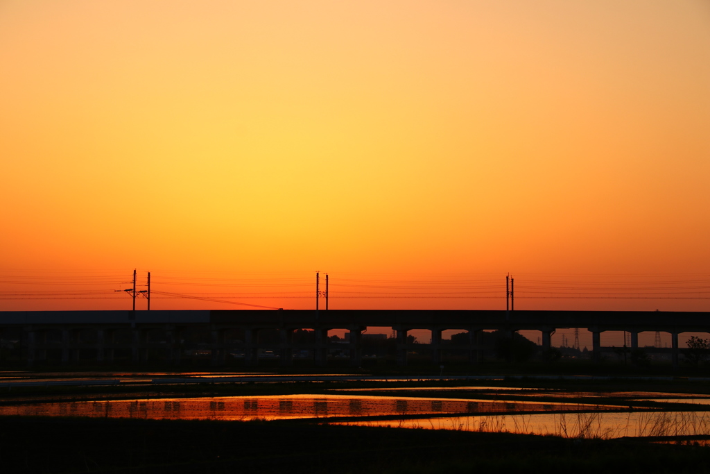 黄金色の夕焼け