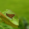 雨の止み間