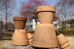 20170220113531_IMG_0209